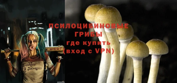 тгк Алзамай