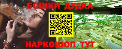 гашик Изобильный