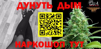 гашик Ипатово
