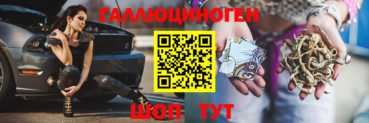 Моздок  Галлюциногенные грибы Cubensis  Вход с VPN 